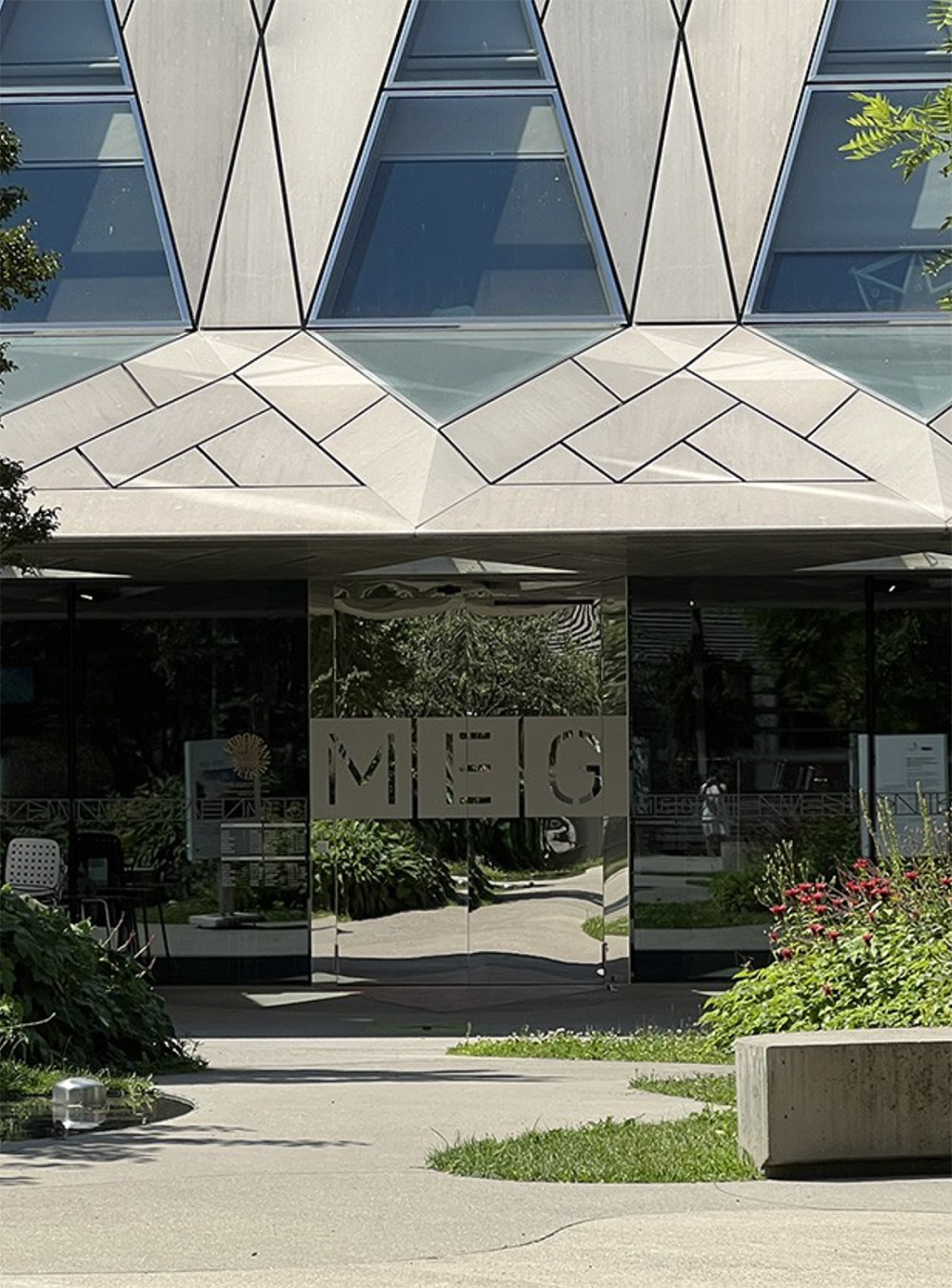 Le MEG